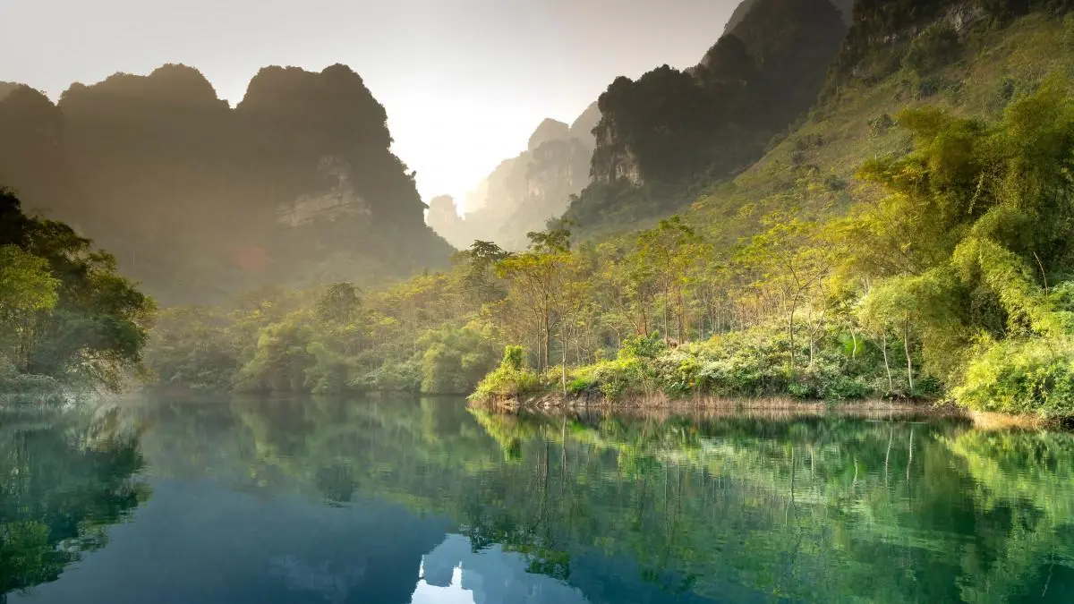 绿色高效环保